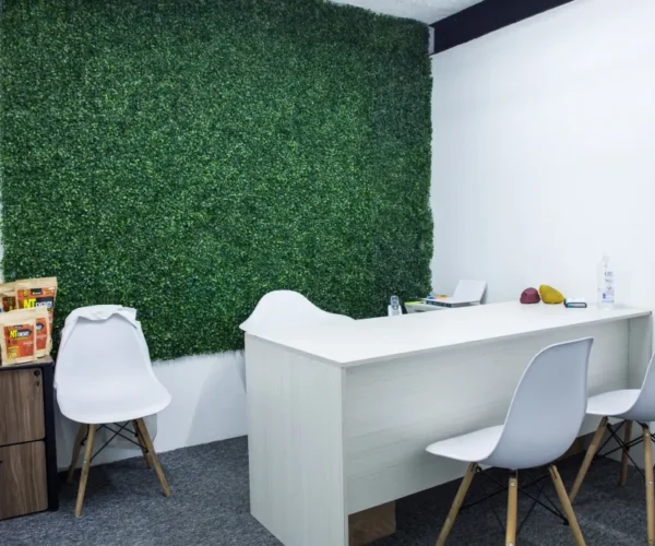 Oficina con muro verde en Gomac Arboledas, oficinas en renta en Guadalajara