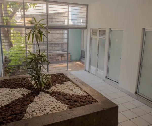 Jardín interior en Gomac Chapultepec, oficinas en renta en Guadalajara