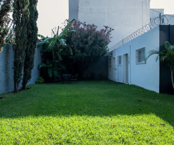Jardín en Gomac Expo Guadalajara, oficinas en renta en Guadalajara