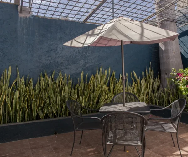 Terraza en Gomac Ladrón de Guevara, oficinas en renta en Guadalajara