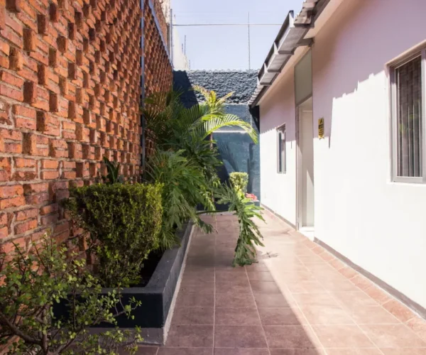 Pasillo con jardín en Gomac Minerva, oficinas en renta en Guadalajara